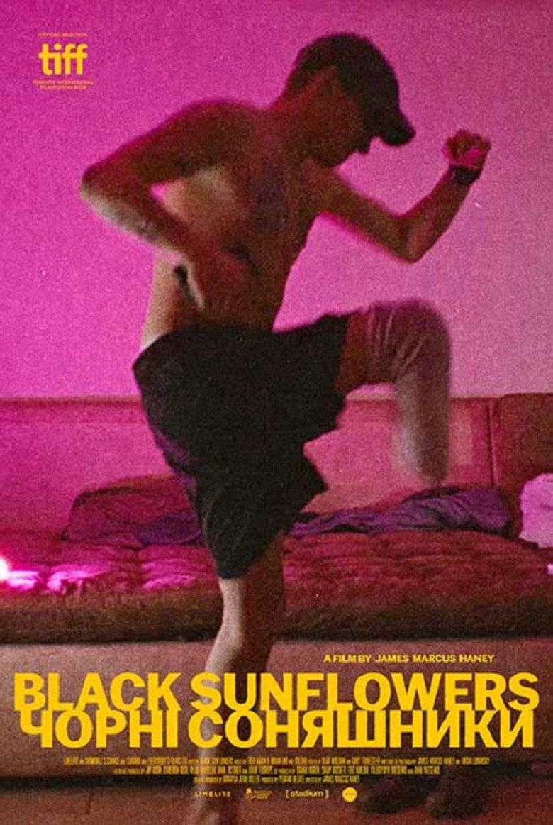 Black Sunflowers