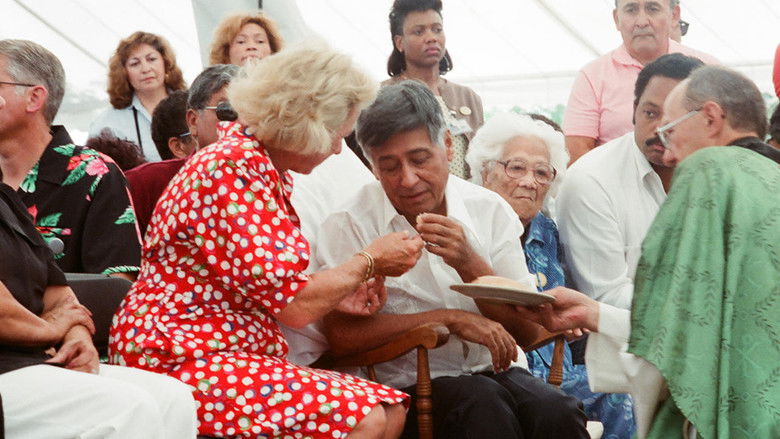 Gallery image from jlH88mOnv7kxGXUa3Pslh7hlWLb.jpg