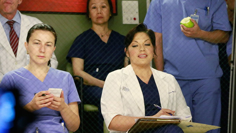 Grey's Anatomy Season 11 Episode 19