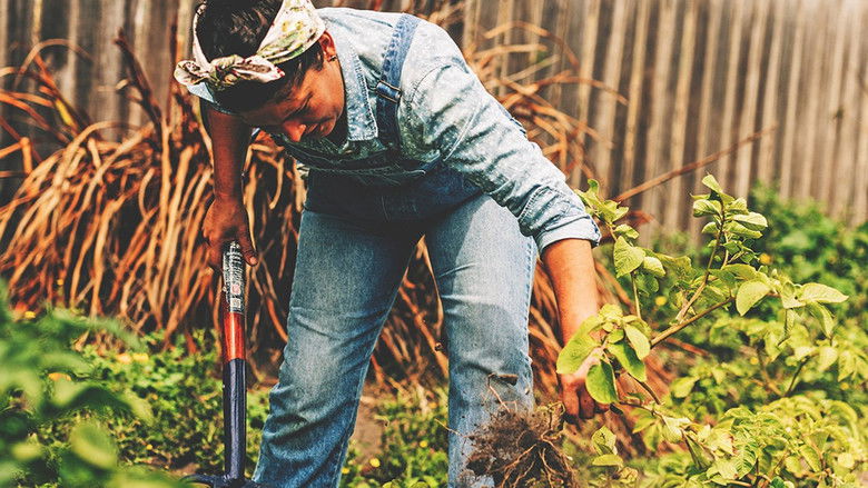 Still image for A Girl's Guide to Hunting, Fishing and Wild Cooking season 1 episode 5: Episode 5 Still image for A Girl's Guide to Hunting, Fishing and Wild Cooking season 1 episode 5: Episode 5