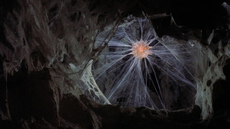 Film backdrop