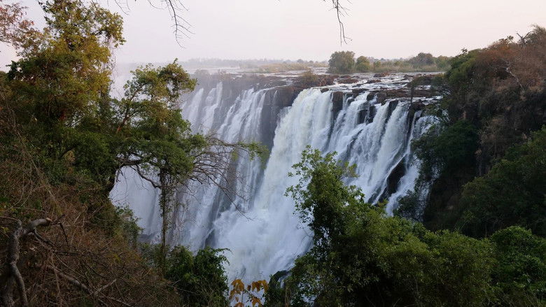 Still image for Fish or Die season 1 episode 2: Eye of the Tigerfish