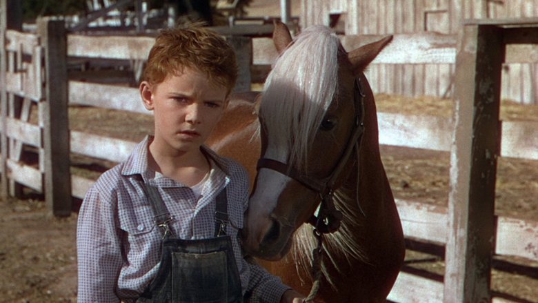 The Red Pony (1949)