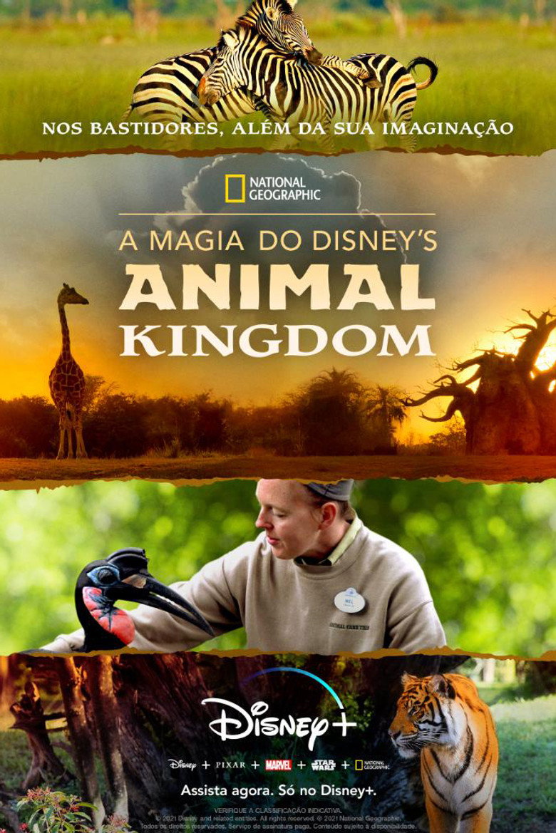 Póster la Serie
