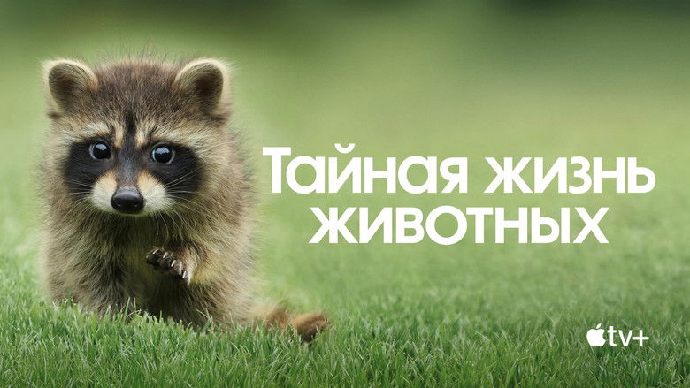 Gallery image from jpHIGI1fNaNqSRgcMJCEChaLVsk.jpg