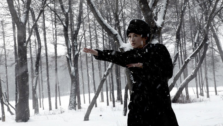 Image d'arrière-plan 12 du film The Grandmaster