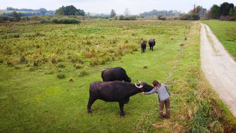 Still image for Helden der Landwirtschaft season 1 episode 2: Episode 2