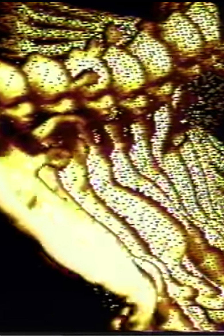 Imatge de Viscous Meanderings