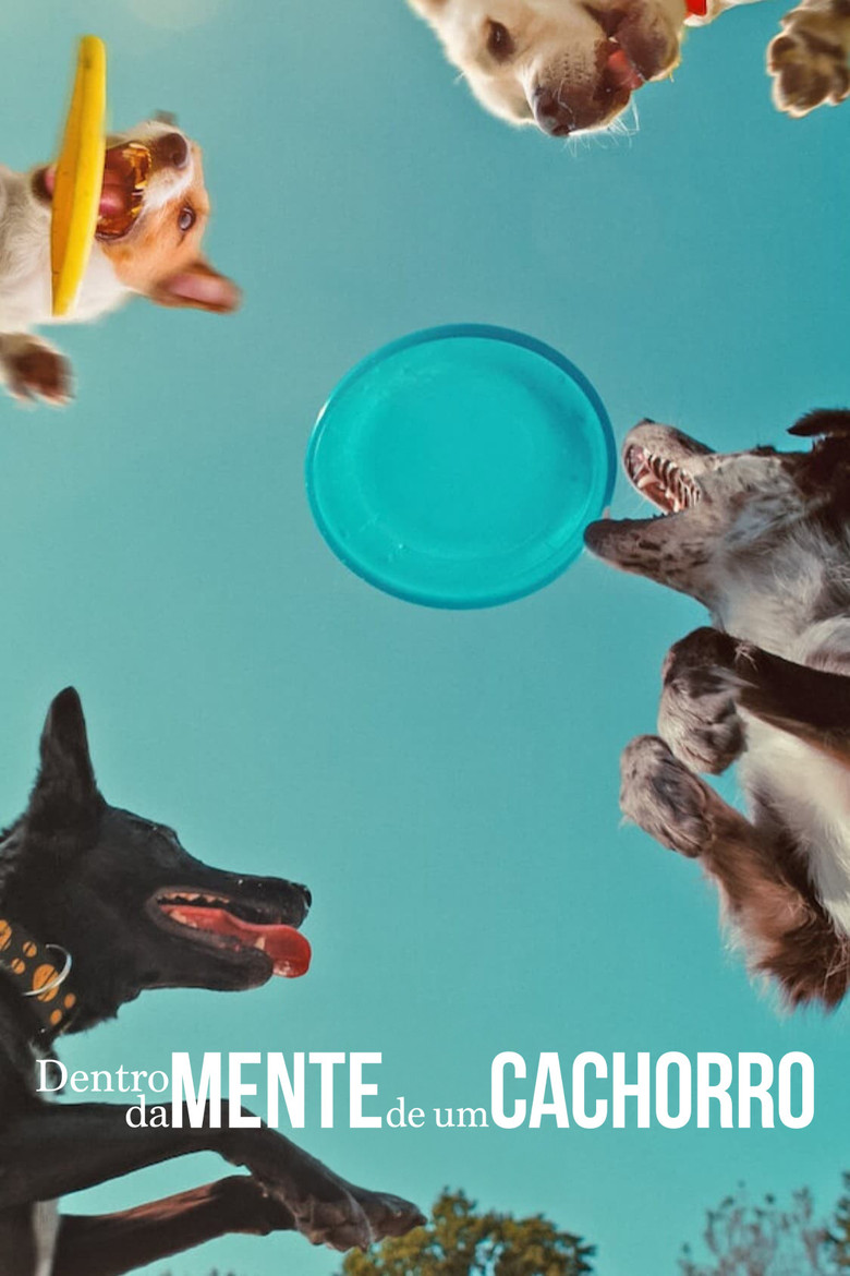 Póster la Película