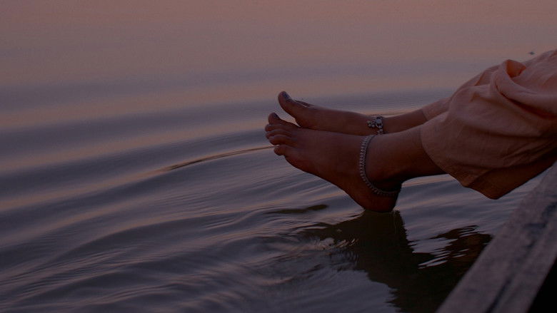 Gallery image from jq1lNzDGIW6eq5PPZwFBGPTydE7.jpg