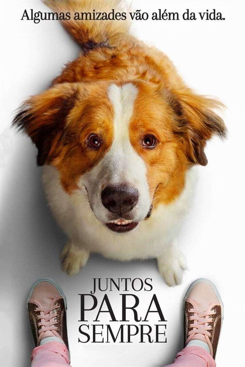 Pôster