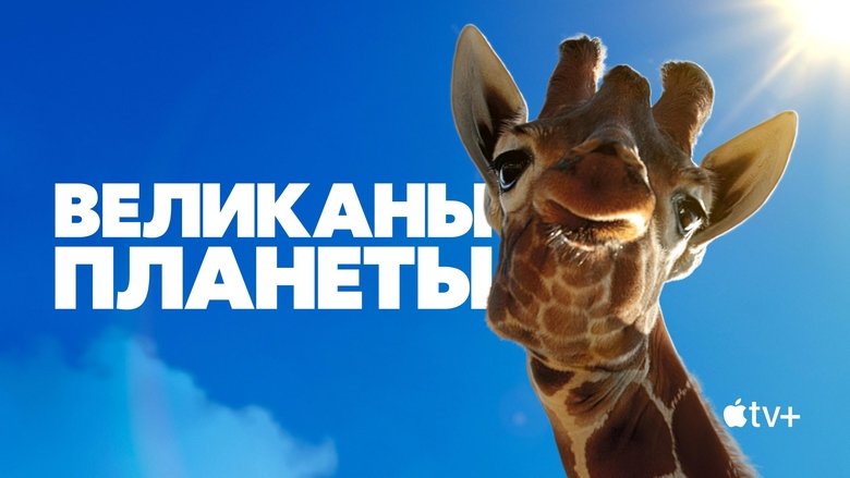 Gallery image from jrIWycbnIpKC1pjHP3FR6NFepV7.jpg