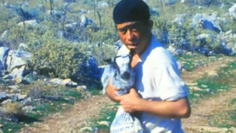 Still image for At the Campsite season 1 episode 1: Episode 1 Still image for At the Campsite season 1 episode 1: Episode 1