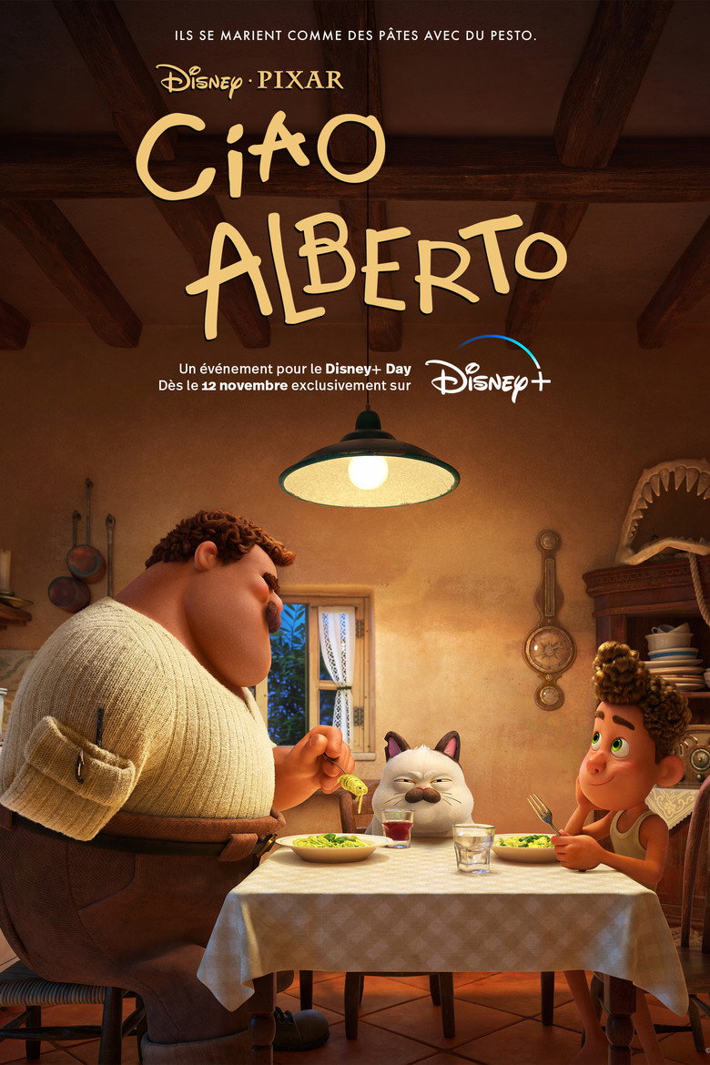 Póster la Película