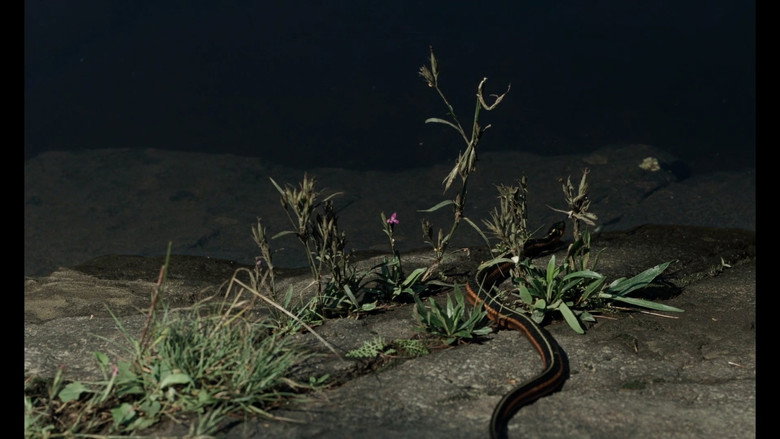 Elsewhere at Night 1