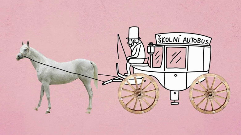 What is the point of women studying?