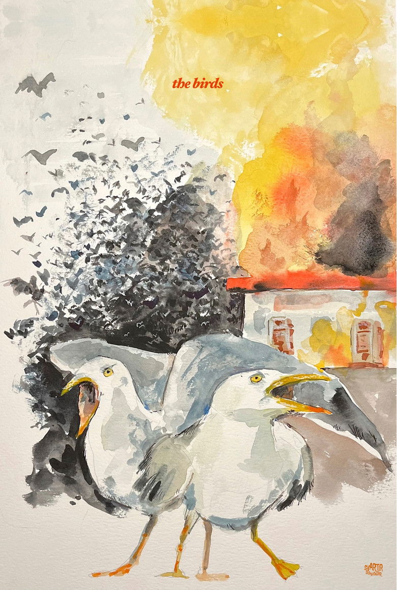 Imatge de Els ocells