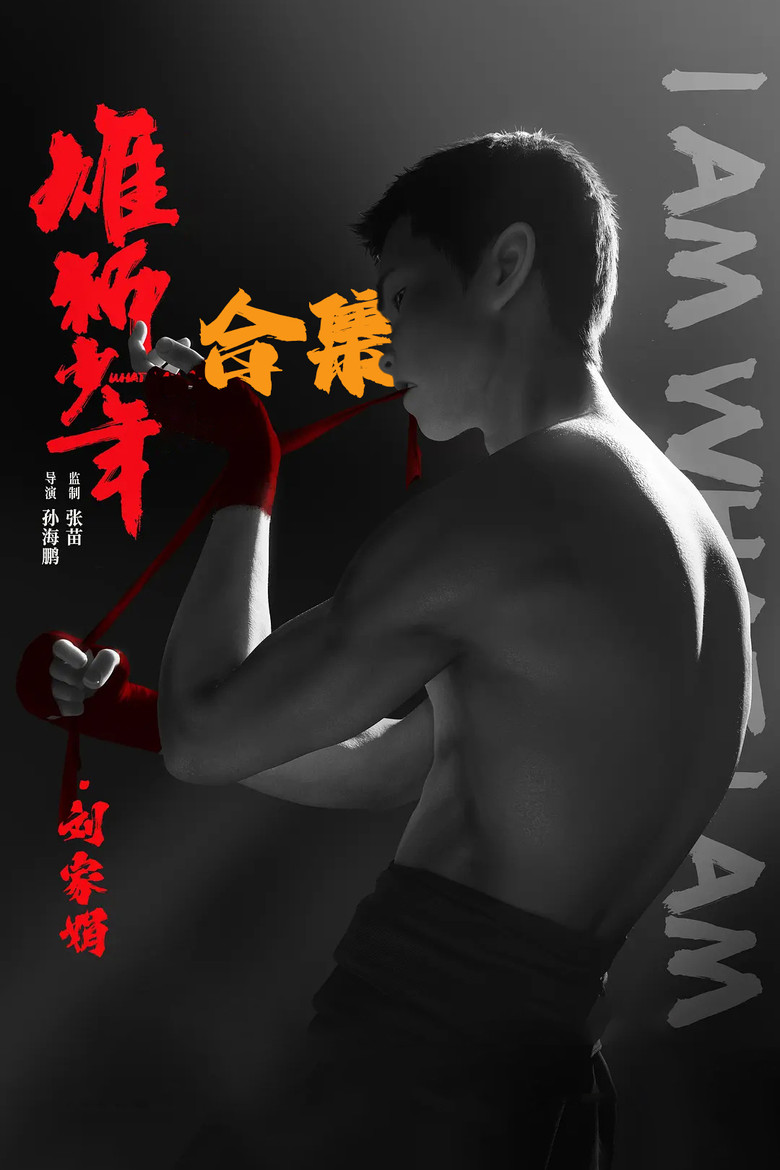 Постер коллекции 雄狮少年（系列）