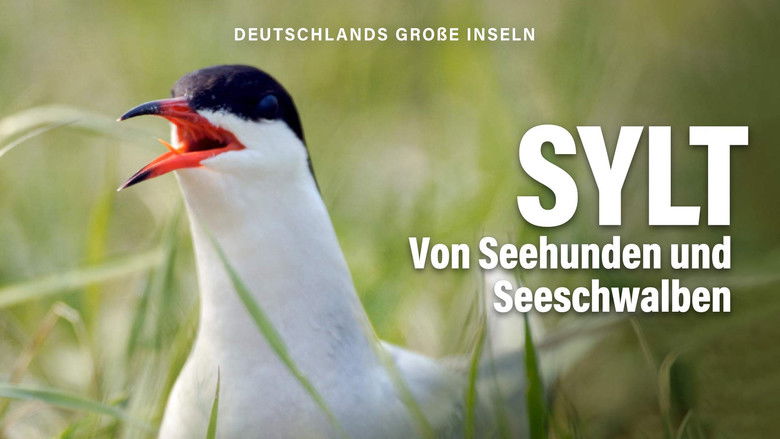 Still image for Expeditionen ins Tierreich: Deutschlands Große Inseln season 1 episode 2: Episode 2