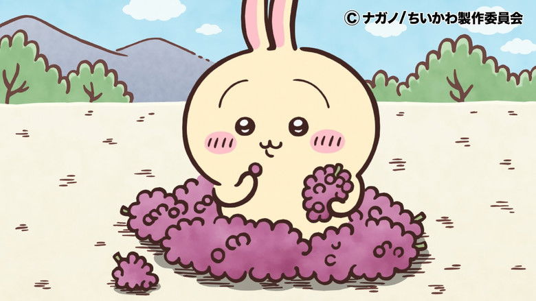 Still image for Chiikawa season 1 episode 300: Episode 300 Still image for Chiikawa season 1 episode 300: Episode 300