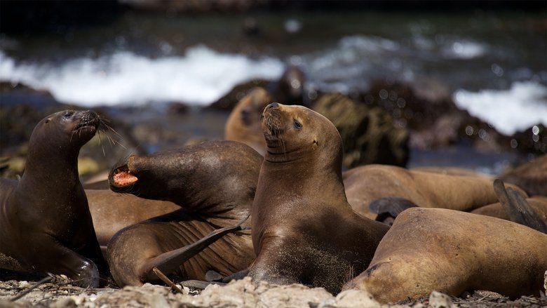 Gallery image from jsyEqJ3xvdyhLrzgMD3BnUmTQzf.jpg