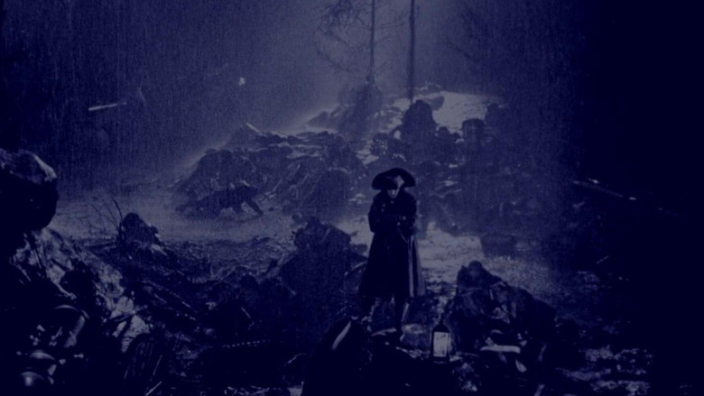 scenes 48