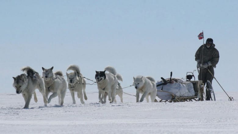 Blizzard: Race To The Pole