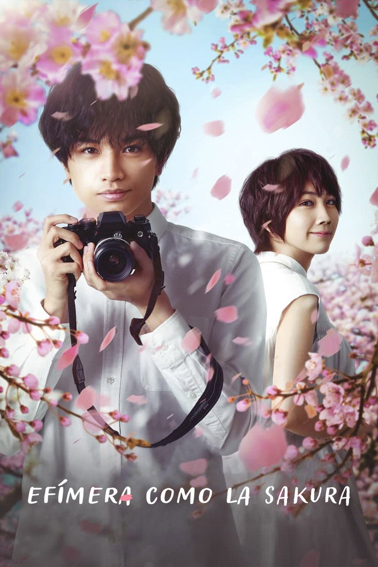 Imagen de Efímera como la sakura