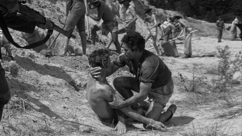 Image d'arrière-plan 8 du film L'Île du camp sans retour