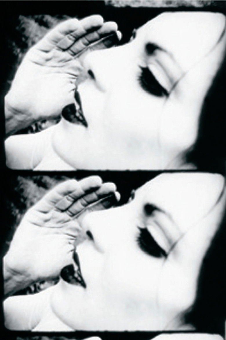 Imatge de The Light in Our Lizard Bellies