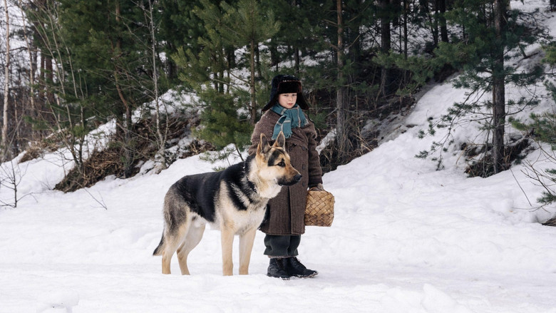 Image d'arrière-plan 1 du film Трезорка