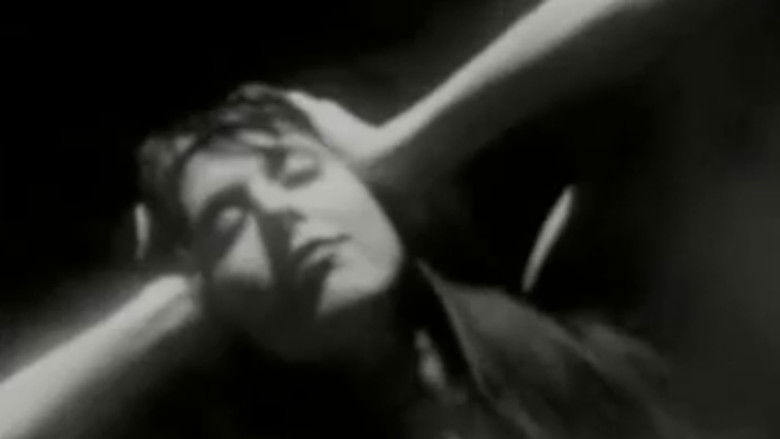 Gallery image from jw2EXULQtbt19c62Ho5OmG6uxF1.jpg