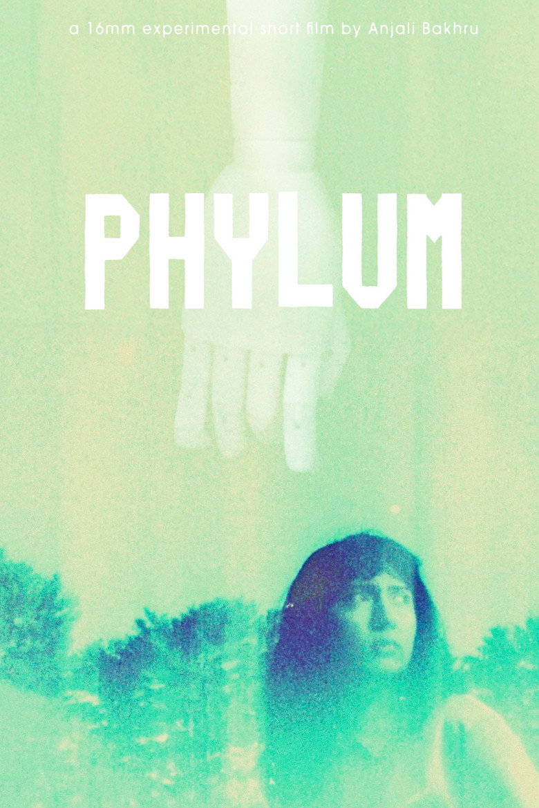 Imatge de Phylum