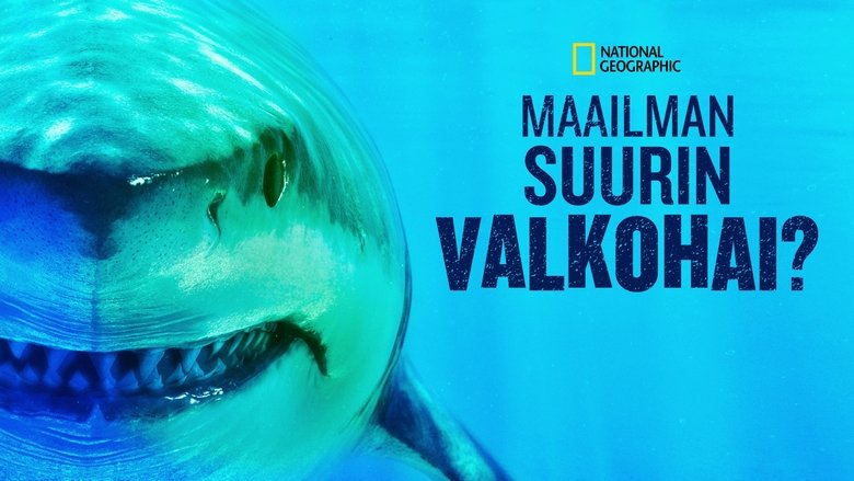 World's Biggest Great White? (2019)