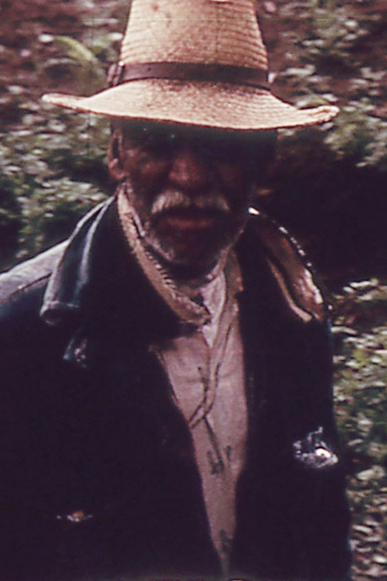 Imatge de The Mexican Footage