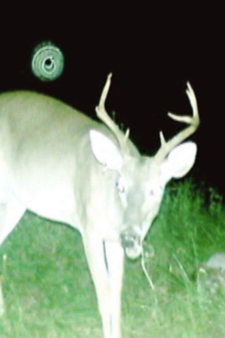 Imatge de Deer Census