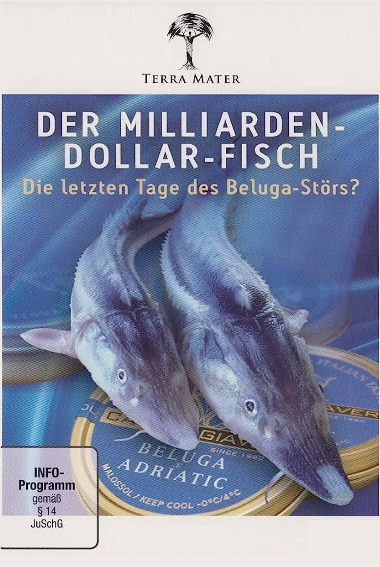Der Milliarden-Dollar-Fisch background