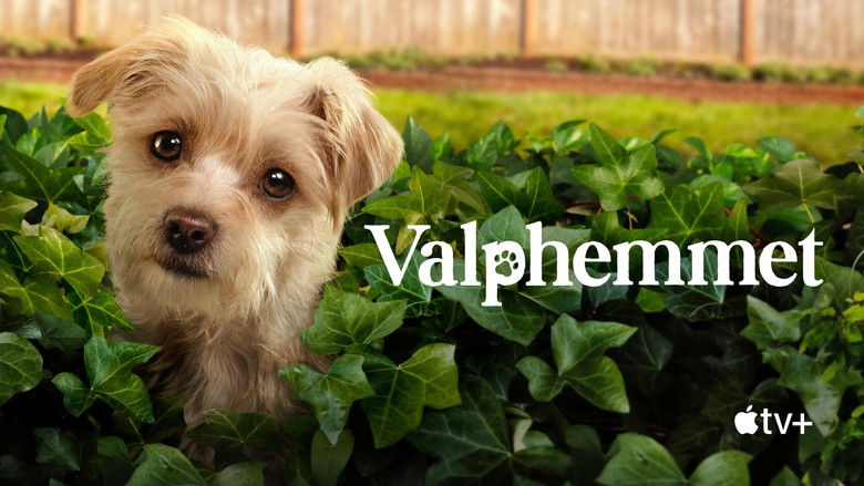 Gallery image from jzf1pCCDMn56ApC7DlSicu1ZO6v.jpg