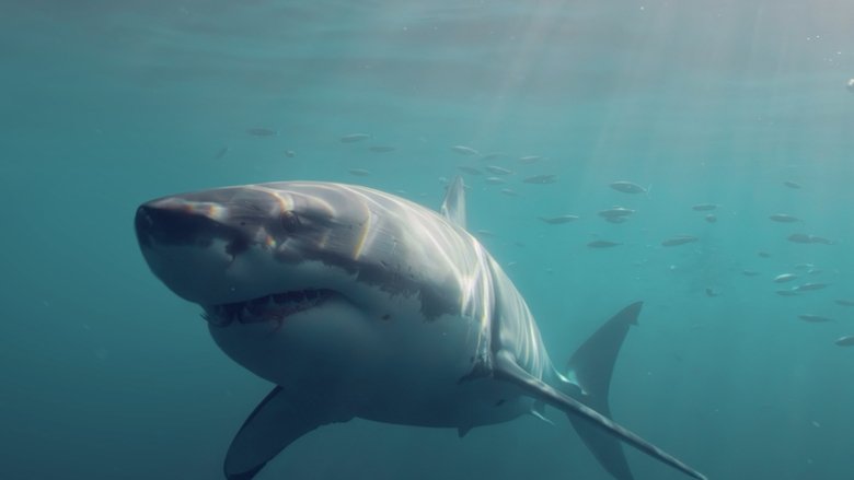 The Reef: Stalked (2022)