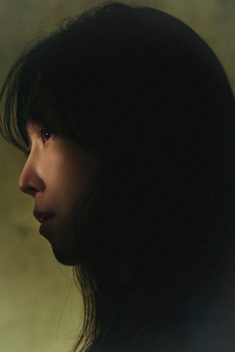 The Perfect Lie poster