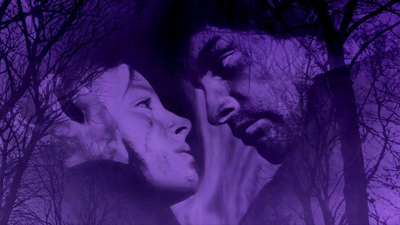 Wuthering Heights image 8