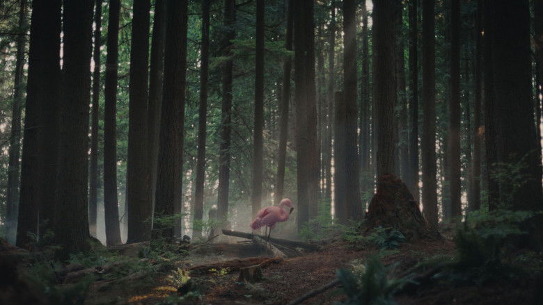 Gallery image from k0u4OobsVPo1Wb6rtk4jM1NceEy.jpg