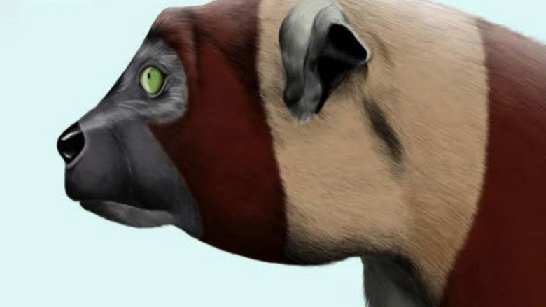 Imatge de O Poema Imperfeito