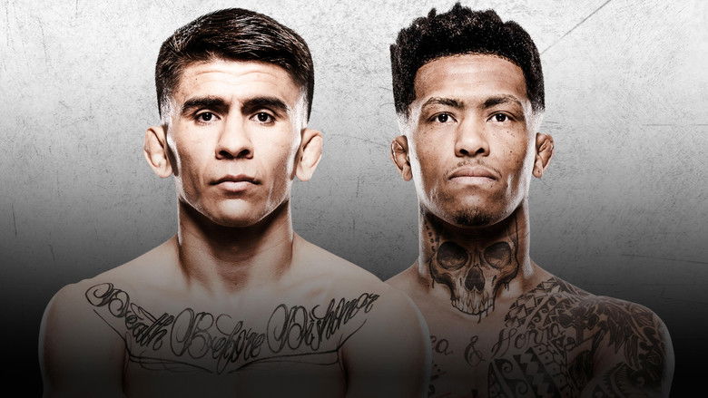 Imatge de UFC Fight Night 266: Bautista vs. Oliveira