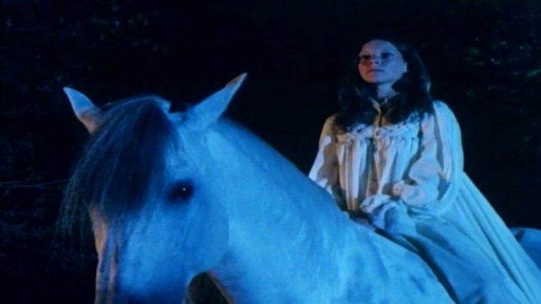 Gallery image from k2VT85TI2koa6vyP0AU9zQu4cBM.jpg