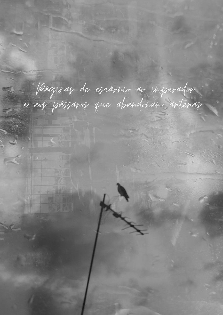 P&aacute;ginas de esc&aacute;rnio ao imperador e aos p&aacute;ssaros que abandonam antenas (1970)