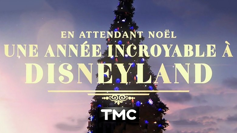 En attendant Noël, une année incroyable à Disneyland Paris movie poster