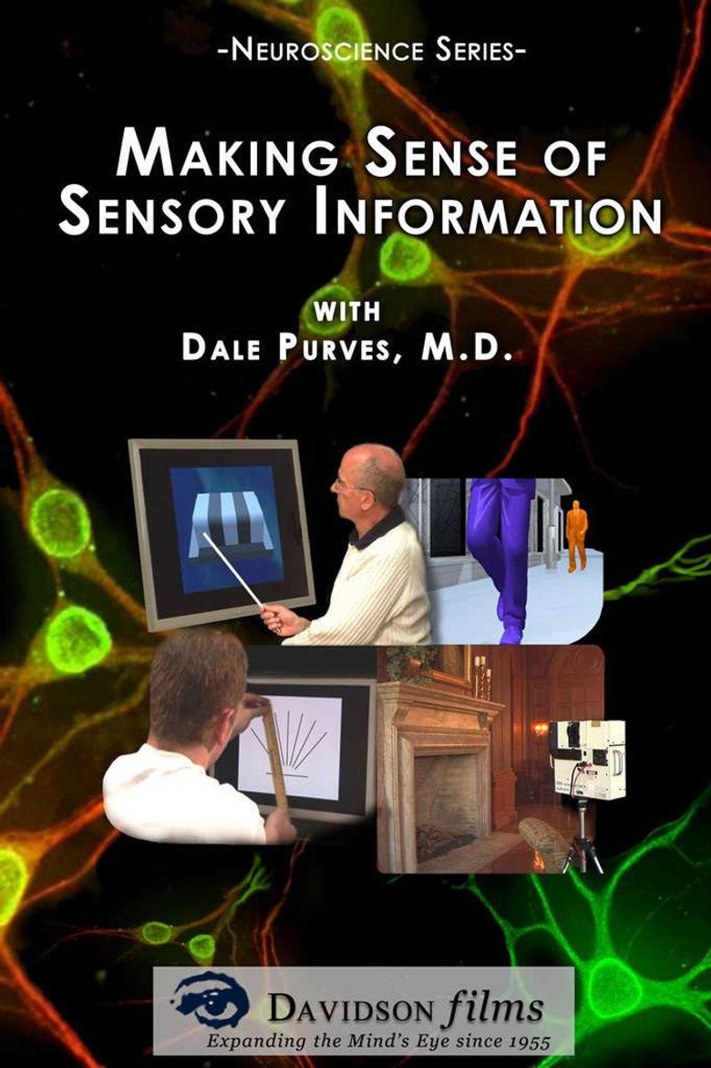 Making Sense of Sensory Information background