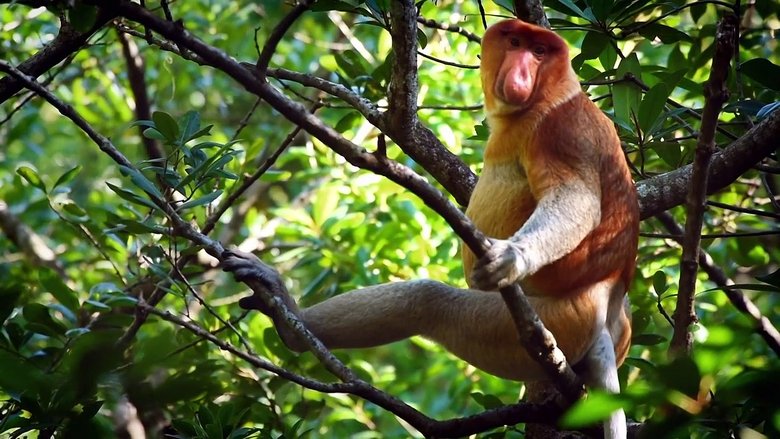 Češi zachraňují Sezóna 1 Epizoda 6 bombuj