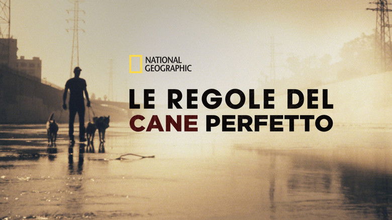 Gallery image from k3vbjg78IEqzIEhHqZ2uTB6lshk.jpg